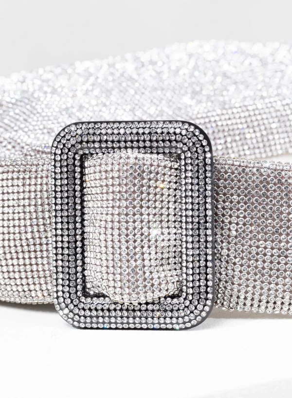 Benedetta Bruzziches Pina Bausch Crystal On Silver> Crystal Bag