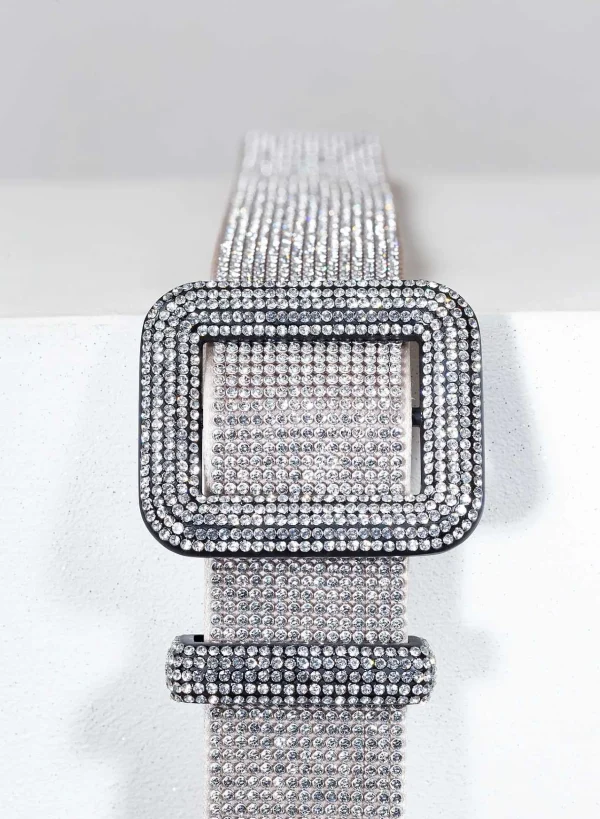 Benedetta Bruzziches Venus Belt Crystal On Silver> Belts