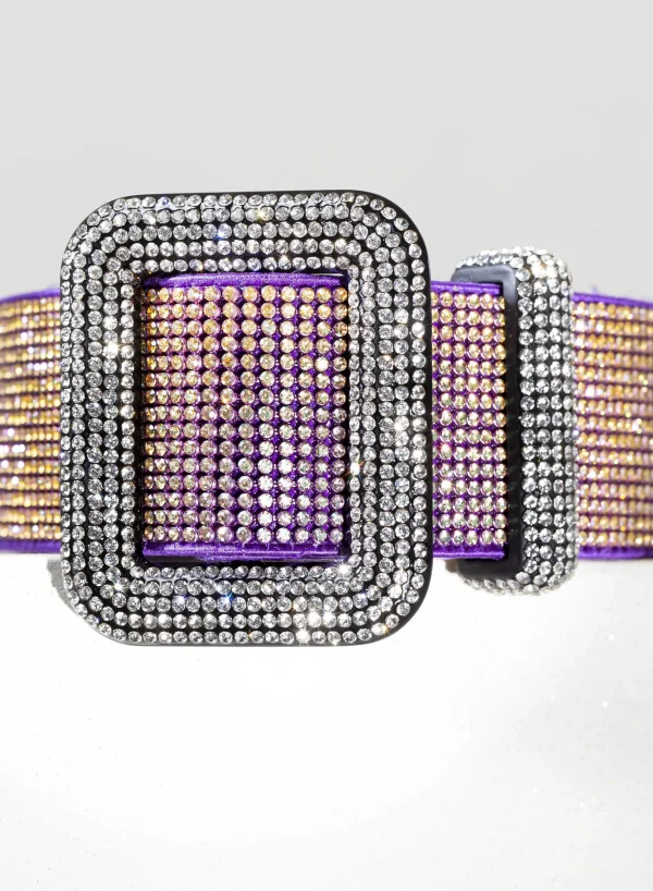 Benedetta Bruzziches Venus Belt The Living Daylight> Belts