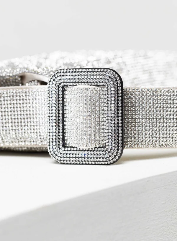 Benedetta Bruzziches Vitty La Grande Crystal On Silver> Crystal Bag